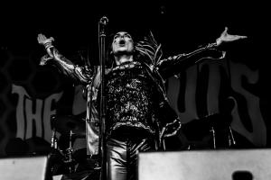 #younganddangerous #thestruts #foto #concerto