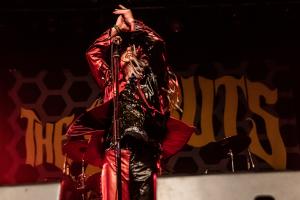 #younganddangerous #thestruts #foto #concerto